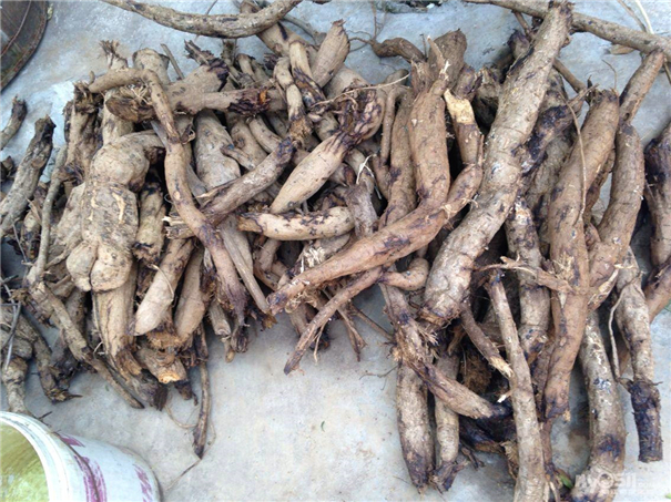 src=http___fs.zhenjiang365.cn_bbsatt_day_140406_140406143149e0f55c929404f7.jpg&refer=http___fs.zhenjiang365.jpg